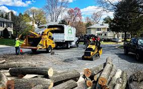 Best Tree Removal  in Sharpes, FL